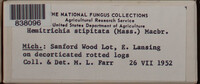 Image Associated With the Occurence